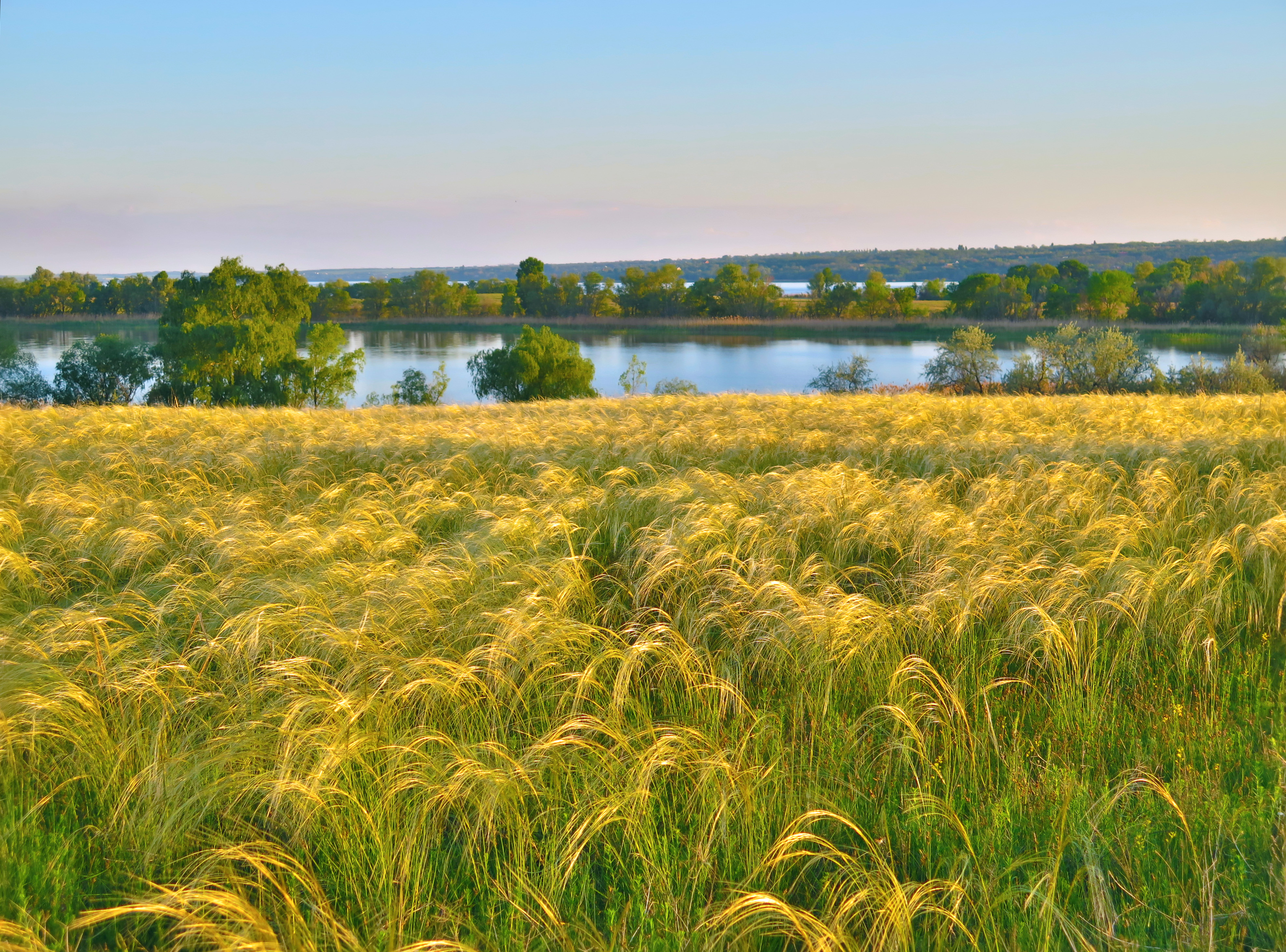 Dry grasslands in “Dniprovi Porohy” Regional Landscape Park. Photo: V. Maniuk.