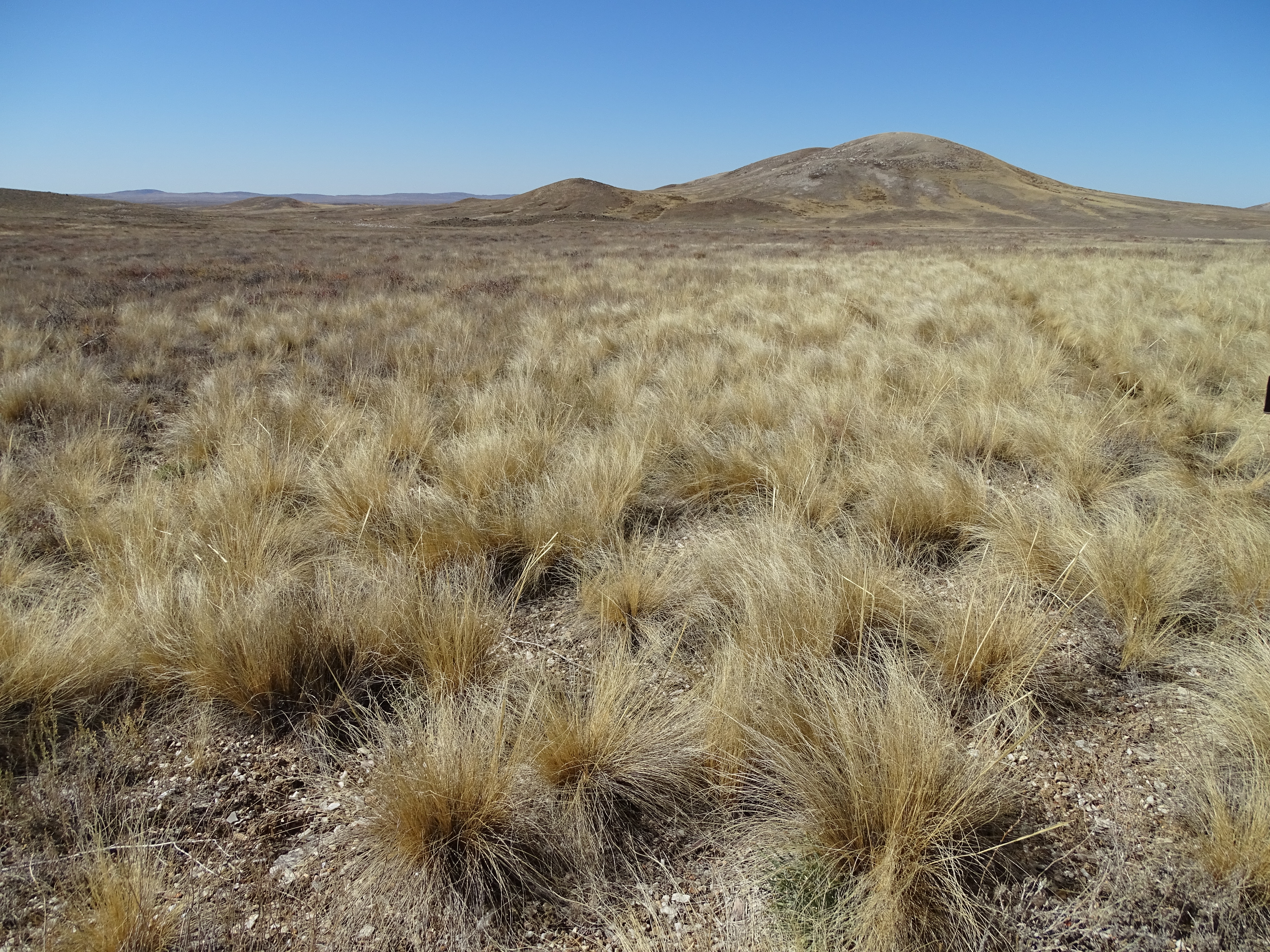 Desert steppe in Kazakhstan, I. Smelansky