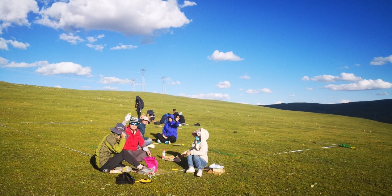 Photo 1 Jianshuang’s team collecting aboveground biomass at an alpine meadow site